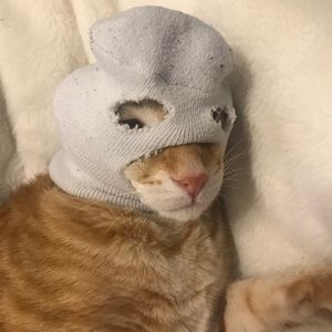 Meet your Posher, Loren